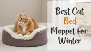 Best Cat Bed for Winter